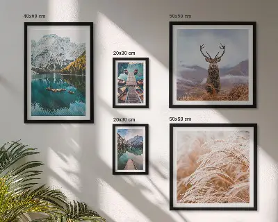 Set di 5 quadri con paesaggi montani e motivi naturali