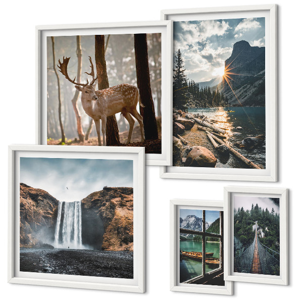 Set di 5 quadri Paesaggi natura cascate fauna