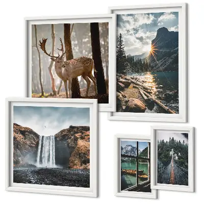 Set di 5 quadri rappresentanti paesaggi di natura cascate e fauna