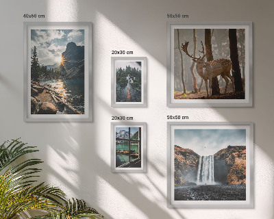 Set di 5 quadri Paesaggi natura cascate fauna