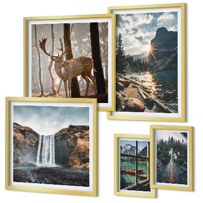 Set di 5 quadri Paesaggi natura cascate fauna