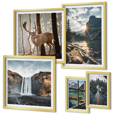 Set di 5 quadri rappresentanti paesaggi di natura cascate e fauna