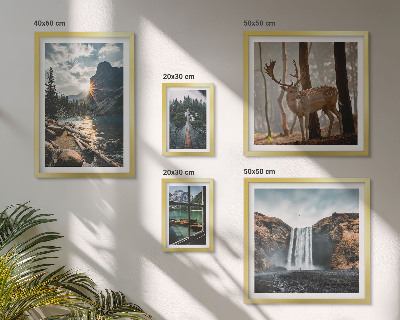 Set di 5 quadri Paesaggi natura cascate fauna