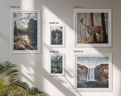 Set di 5 quadri Paesaggi natura cascate fauna