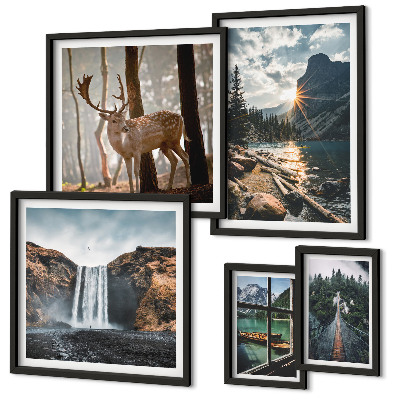 Set di 5 quadri Paesaggi natura cascate fauna