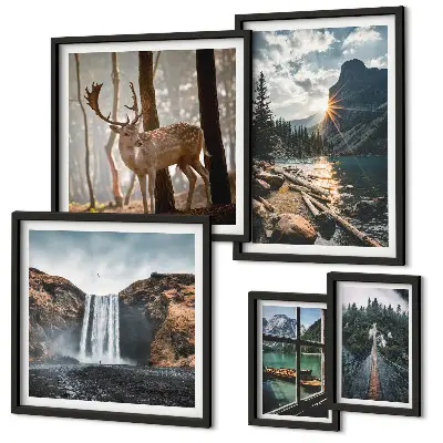 Set di 5 quadri rappresentanti paesaggi di natura cascate e fauna