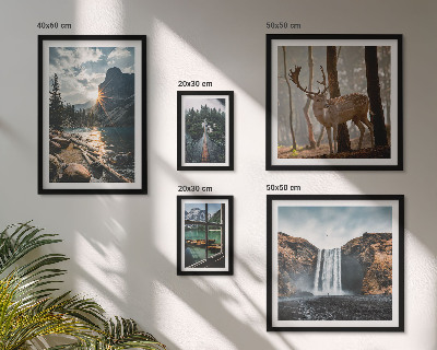 Set di 5 quadri Paesaggi natura cascate fauna