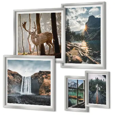 Set di 5 quadri rappresentanti paesaggi di natura cascate e fauna