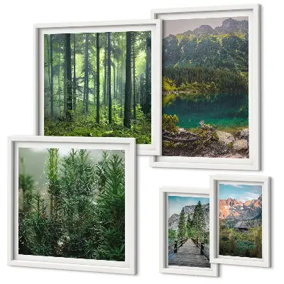 Set di quadri incorniciati con paesaggi montani e foreste