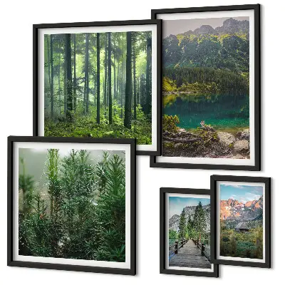 Set di quadri incorniciati con paesaggi montani e foreste