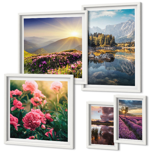 Set di 5 quadri Paesaggi natura fiori montagne