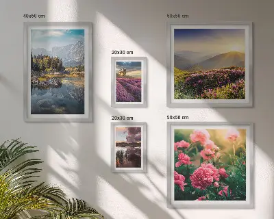 Set di 5 quadri con paesaggi di natura fiori e montagne