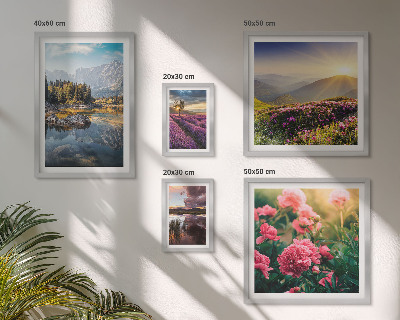 Set di 5 quadri Paesaggi natura fiori montagne