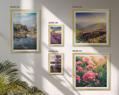 Set di 5 quadri Paesaggi natura fiori montagne