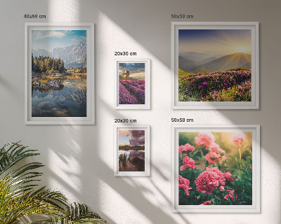 Set di 5 quadri Paesaggi natura fiori montagne
