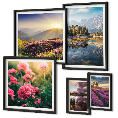 Set di 5 quadri Paesaggi natura fiori montagne