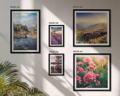 Set di 5 quadri Paesaggi natura fiori montagne