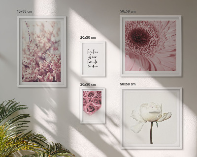 Set di 5 quadri Accenti floreali romantici