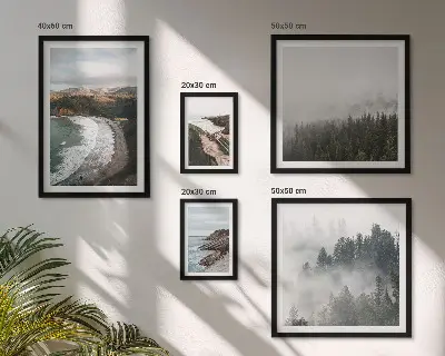 Set di 5 quadri con paesaggi costieri e foreste di montagna
