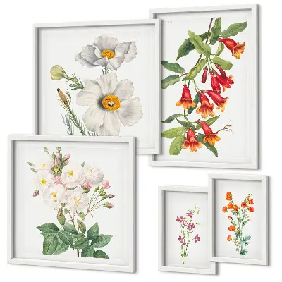 Illustrazioni botaniche floreali set di 5 quadri
