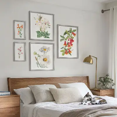 Illustrazioni botaniche floreali set di 5 quadri