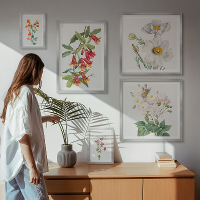 Set di 5 quadri Illustrazioni botaniche floreali