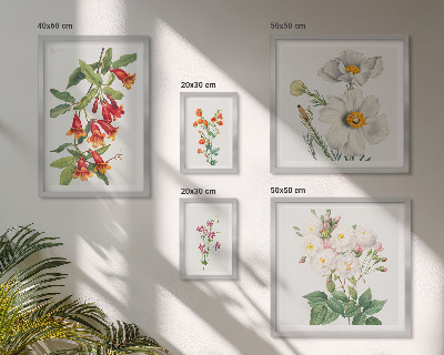 Set di 5 quadri Illustrazioni botaniche floreali