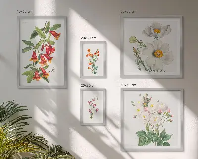 Illustrazioni botaniche floreali set di 5 quadri