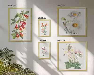 Illustrazioni botaniche floreali set di 5 quadri