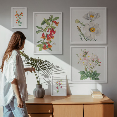 Set di 5 quadri Illustrazioni botaniche floreali