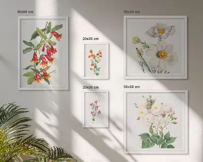 Illustrazioni botaniche floreali set di 5 quadri