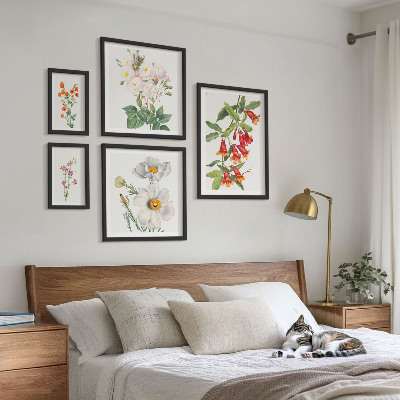 Set di 5 quadri Illustrazioni botaniche floreali