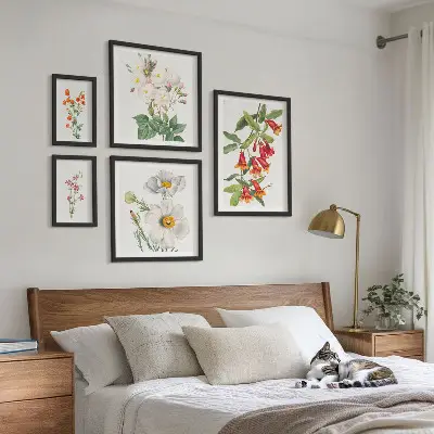 Illustrazioni botaniche floreali set di 5 quadri