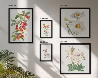 Illustrazioni botaniche floreali set di 5 quadri