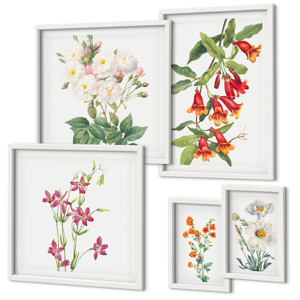 Set di quadri incorniciati Motivi floreali e botanici