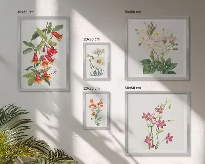 Set di quadri incorniciati con motivi floreali e botanici