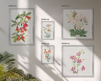 Set di quadri incorniciati Motivi floreali e botanici