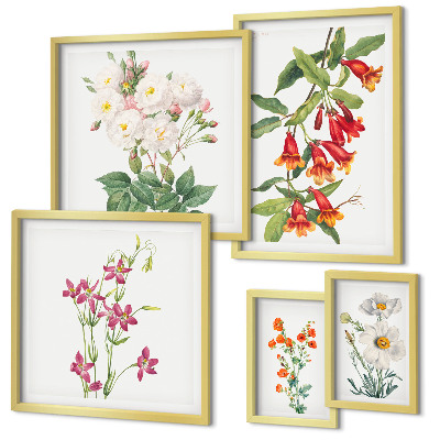 Set di quadri incorniciati Motivi floreali e botanici