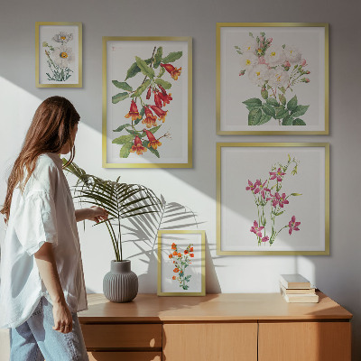 Set di quadri incorniciati Motivi floreali e botanici