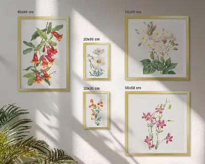 Set di quadri incorniciati con motivi floreali e botanici