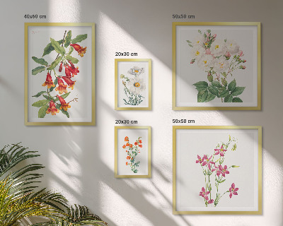 Set di quadri incorniciati Motivi floreali e botanici
