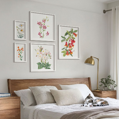 Set di quadri incorniciati Motivi floreali e botanici