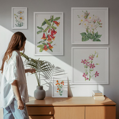Set di quadri incorniciati Motivi floreali e botanici
