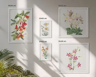 Set di quadri incorniciati con motivi floreali e botanici