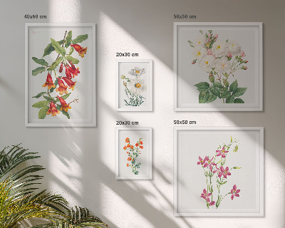 Set di quadri incorniciati Motivi floreali e botanici