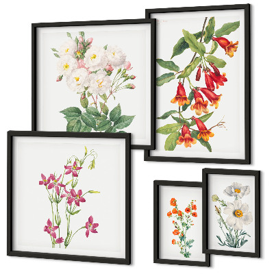Set di quadri incorniciati Motivi floreali e botanici