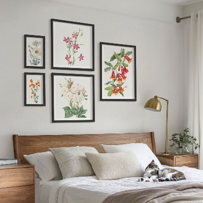 Set di quadri incorniciati Motivi floreali e botanici