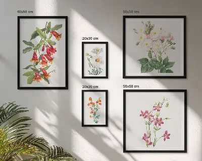 Set di quadri incorniciati con motivi floreali e botanici