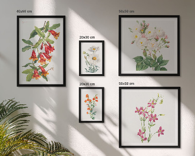 Set di quadri incorniciati Motivi floreali e botanici