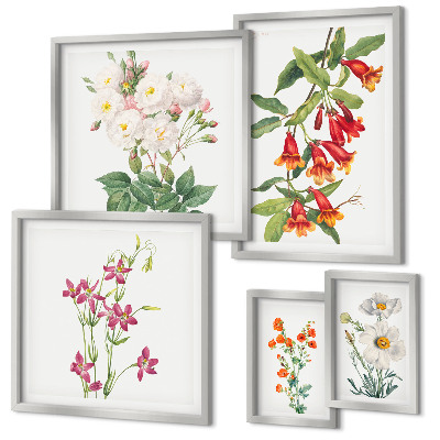 Set di quadri incorniciati Motivi floreali e botanici